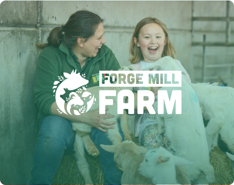 forgemill farm featured