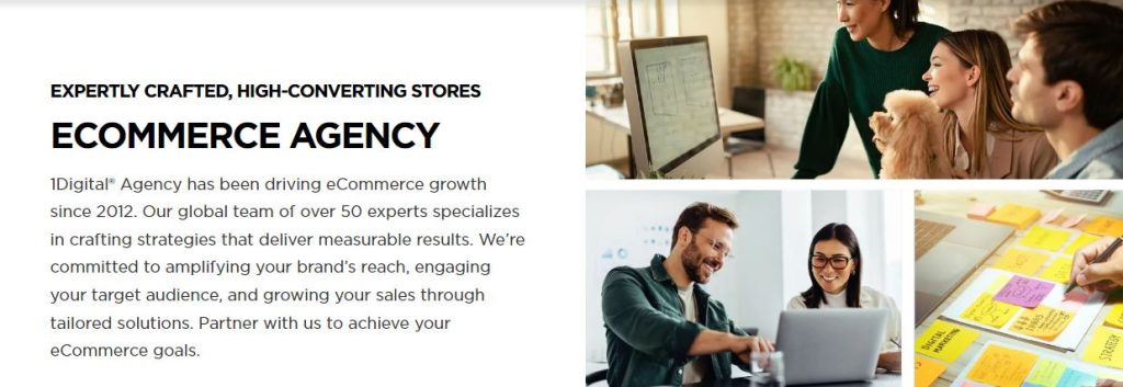 A screenshot from the 1Digital eCommerce marketing agency website.