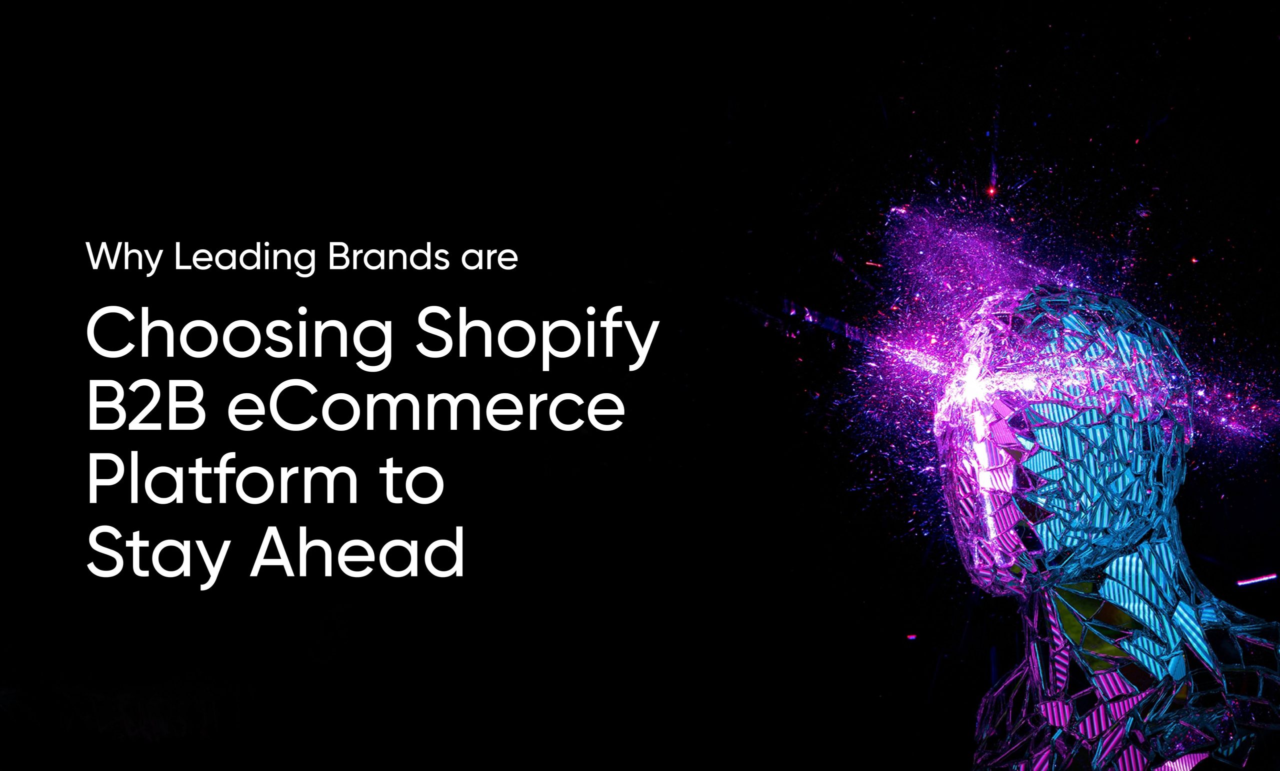 Why Leading Brands Are Choosing Shopify B2B eCommerce Platform to Stay Ahead